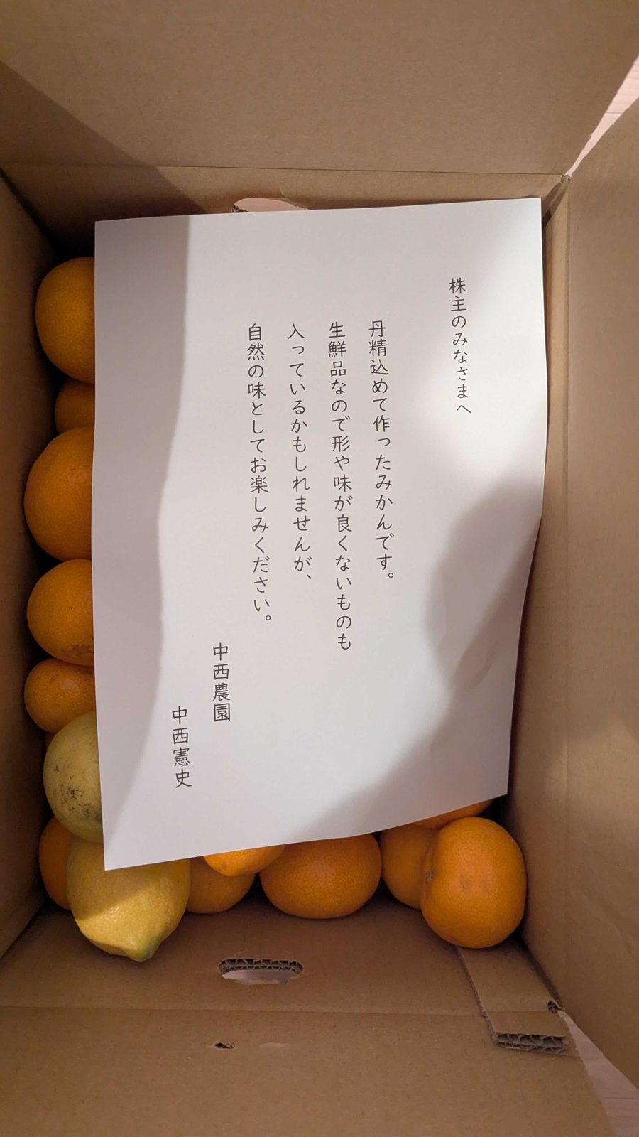 3541　農業総合研究所　株主優待　8月優待　農家直送の蜜柑